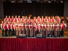 Bild zu Trachtenkapelle Flatz - In Concert
