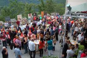 Bild zu Weinkultur auf Schloss Stixenstein